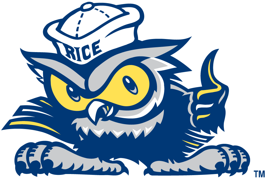 Rice Owls 2003-2009 Misc Logo diy fabric transfer